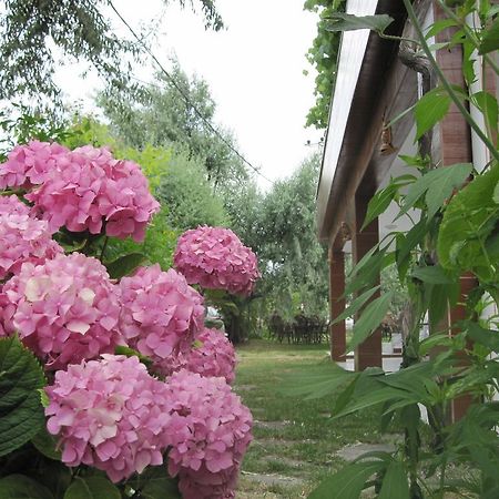 Uysallar Koy Evi İmroz Extérieur photo