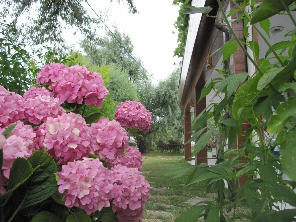 Uysallar Koy Evi İmroz Extérieur photo
